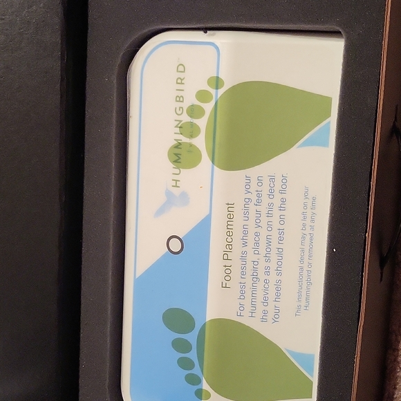 Hummingbird - Picture 2 of 6